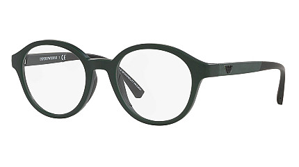 Emporio Armani 3202 5058