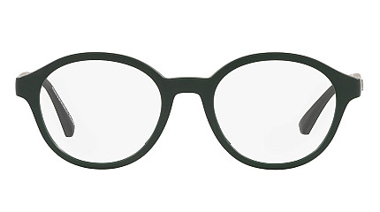 Emporio Armani 3202 5058