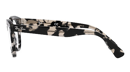 Ray-Ban Orion RX 2199V 8117