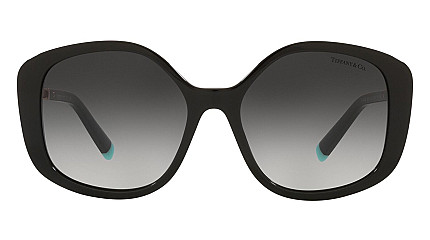 Tiffany&Co 4192 80013C