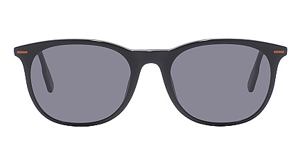 E. Zegna 0203 01A