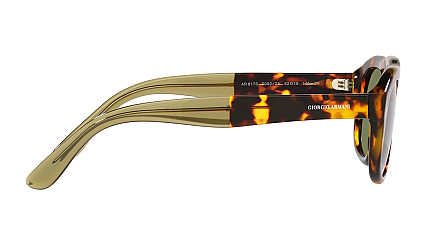 Giorgio Armani 8173 50922A