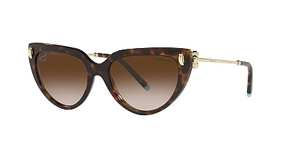 Tiffany&Co 4195 80153B