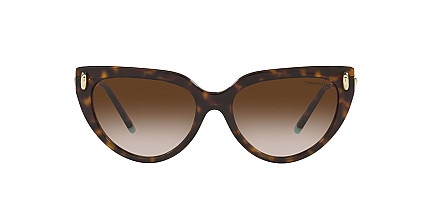 Tiffany&Co 4195 80153B