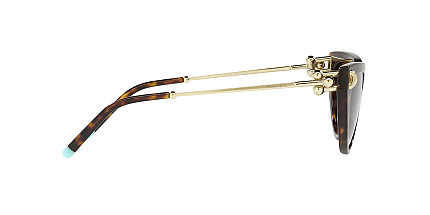Tiffany&Co 4195 80153B