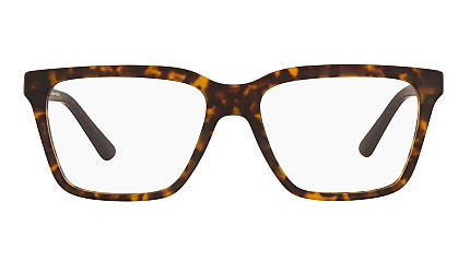 Emporio Armani 3194F 5002