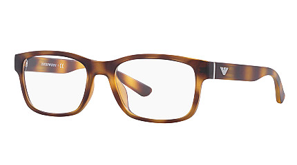 Emporio Armani 3201U 5002