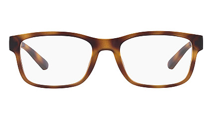 Emporio Armani 3201U 5002