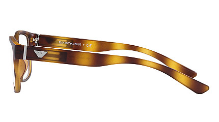 Emporio Armani 3201U 5002