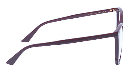 Gucci 0026O 012