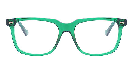 Gucci 0737O 019