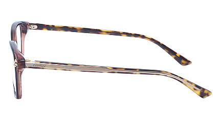 Cartier 0206O 006