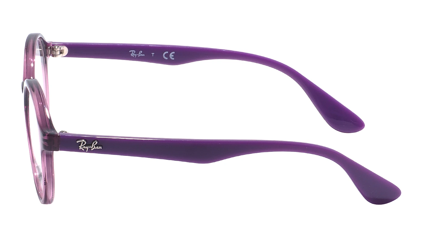 Оправа Ray-Ban Junior RY 1561 3813 фото 4
