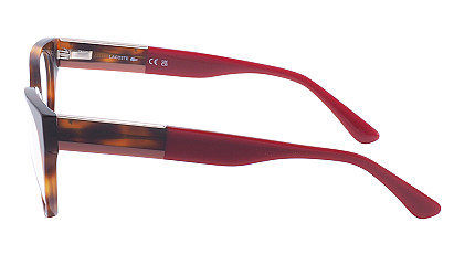 Lacoste 2906 240