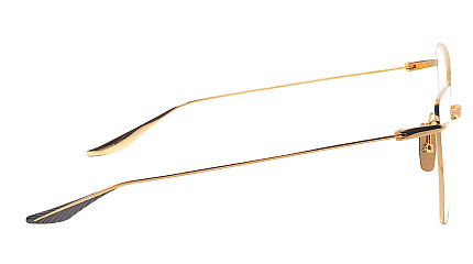 Dita Volnere DTX529-60-04