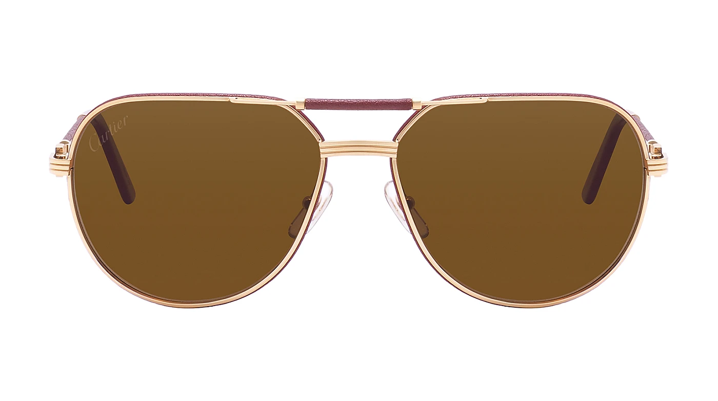 Солнцезащитные очки Cartier 0053S 001 фото 2