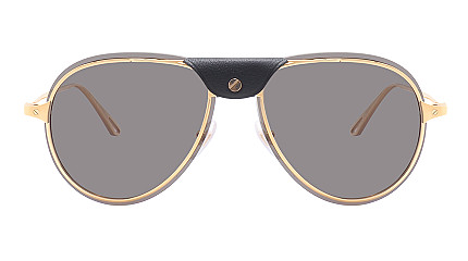 Cartier 0242S 001
