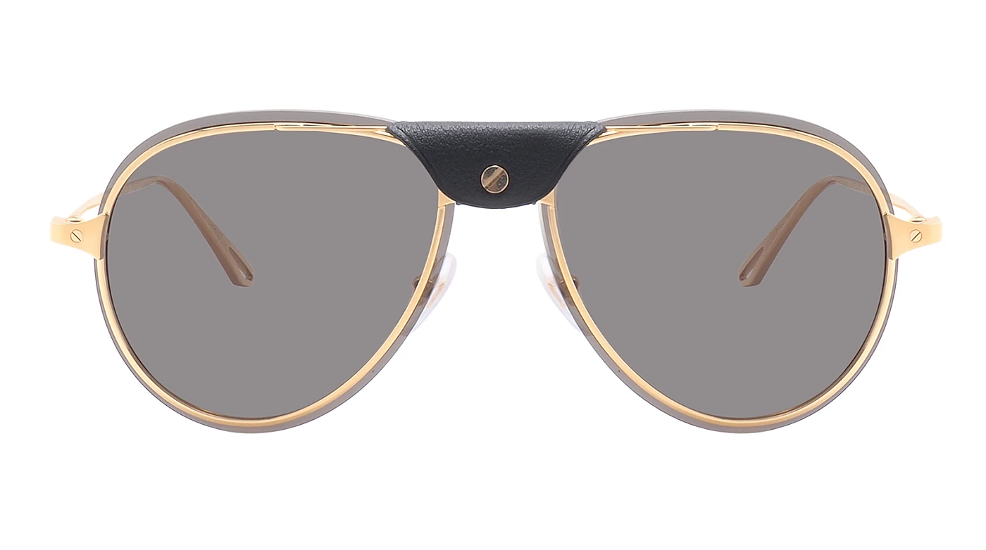 Мужские солнцезащитные очки Cartier 0242S 001 фото 2