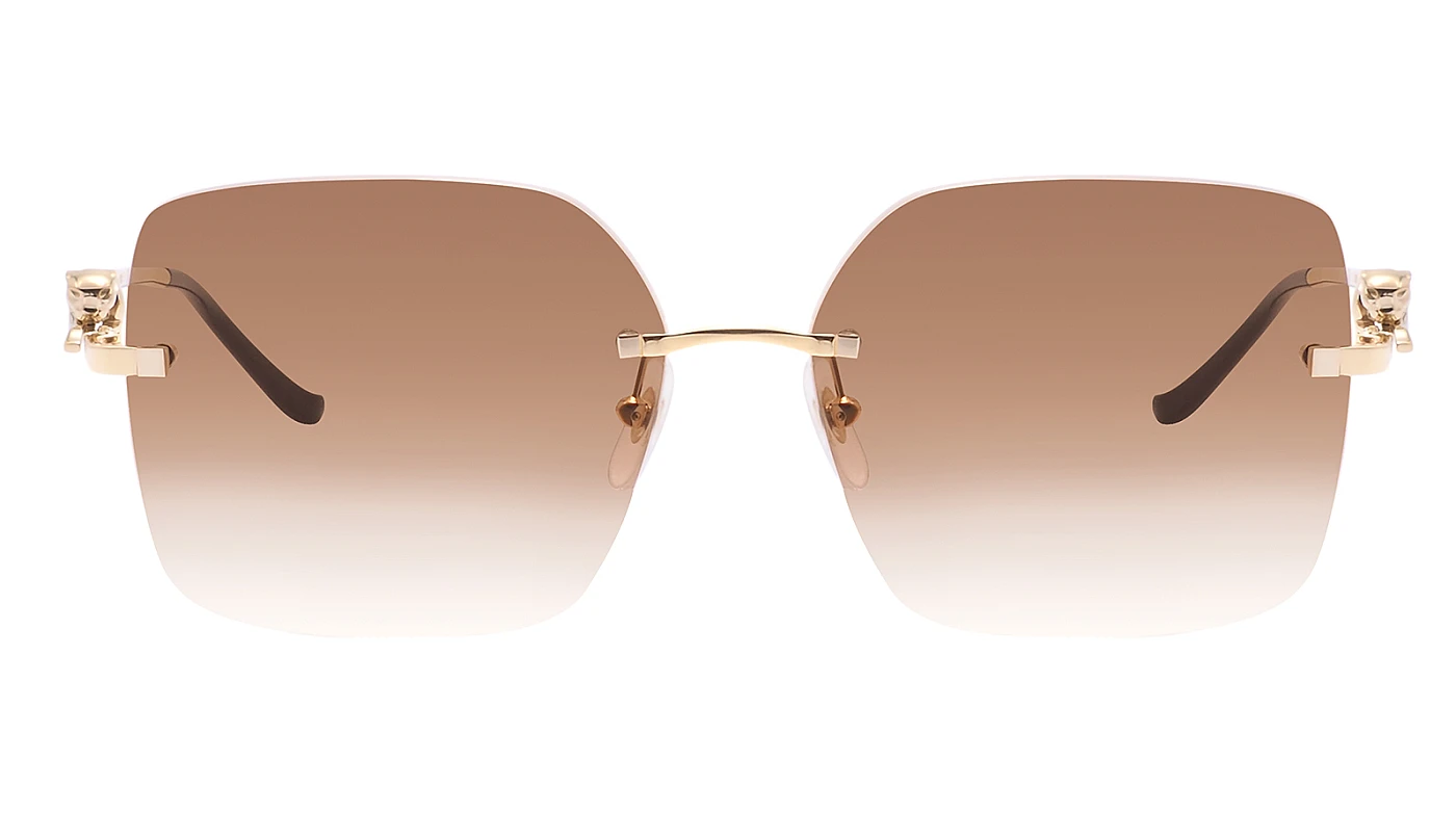 Женские солнцезащитные очки Cartier 0359S 002 фото 2