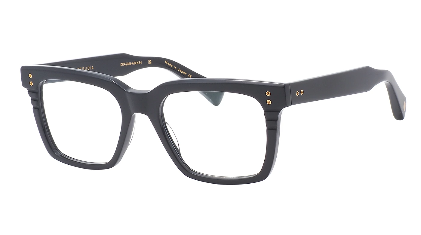 Оправа Dita Sequoia DRX-2086-A-BLK-54 фото 1