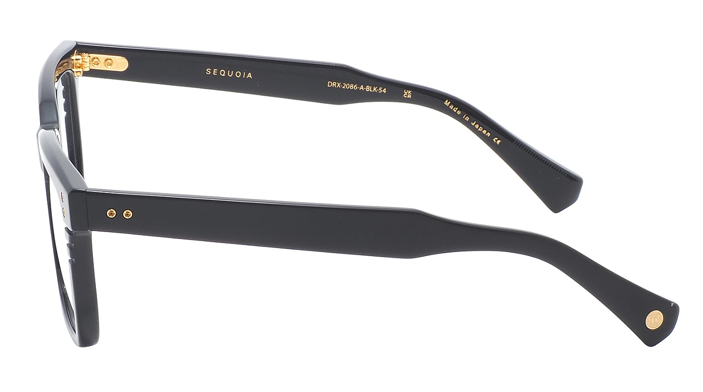 Оправа Dita Sequoia DRX-2086-A-BLK-54 фото 4