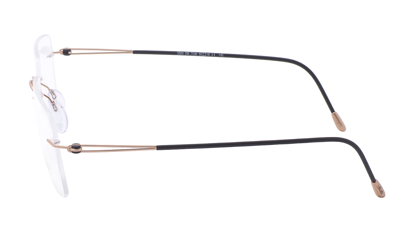 Оправа для очков Silhouette LiteSpirit Rimless 5569 DN 7530 фото 4