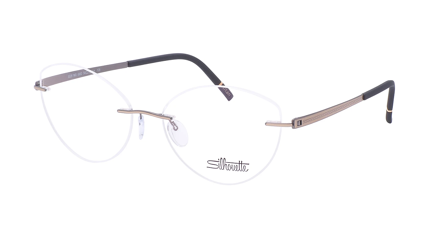 Оправа для очков для зрения Silhouette Momentum 5529 MO 6960 фото 1