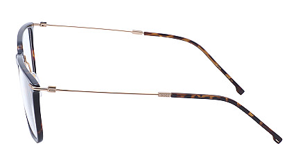 Hugo Boss 1484 2IK