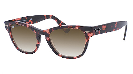 Ray-Ban Laramie RB 2201 133451
