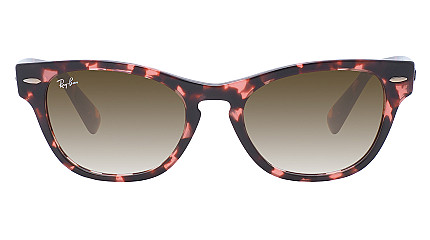 Ray-Ban Laramie RB 2201 133451