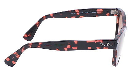 Ray-Ban Laramie RB 2201 133451