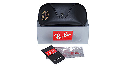 Ray-Ban Highstreet Wings RB 3697 905071