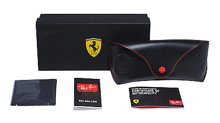 Ray-Ban Scuderia Ferrari RB 4393M F6015J