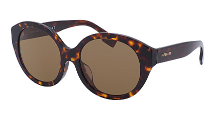 Burberry 4304D 300273