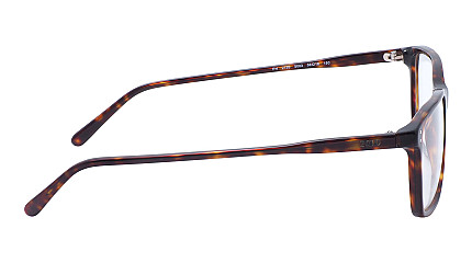 Ralph Lauren 2155 5003