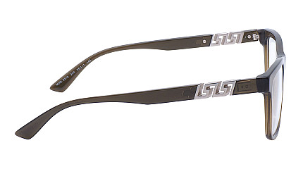 Versace 3319 200