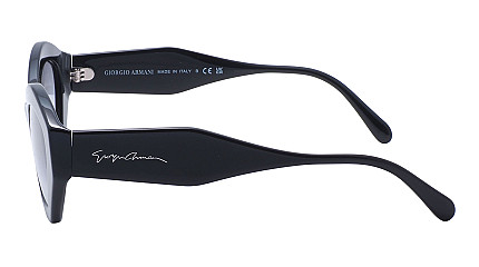 Giorgio Armani 8144 50018E