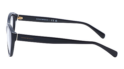 Emporio Armani 3189 5017