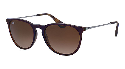 Ray-Ban Erika RB 4171 631513