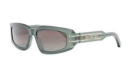 Dior DiorSignature 40134I 95F
