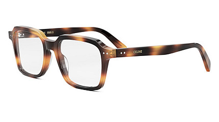 Celine CL 50139I 053