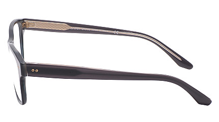 Giorgio Armani 7195 5572