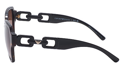 Emporio Armani 4202 502613