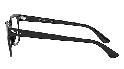 Ray-Ban Icons RX 4323V 2000