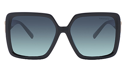Tiffany&Co 4206U 80019S