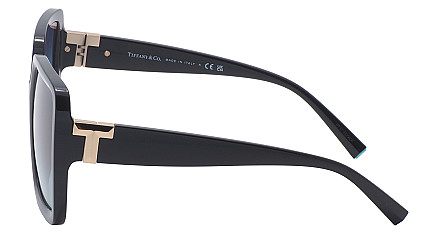 Tiffany&Co 4206U 80019S