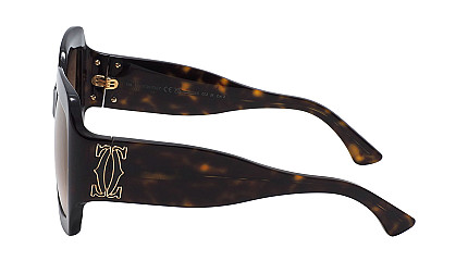 Cartier 0434S 002