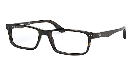 Ray-Ban Active Lifestyle RX 5277 2012