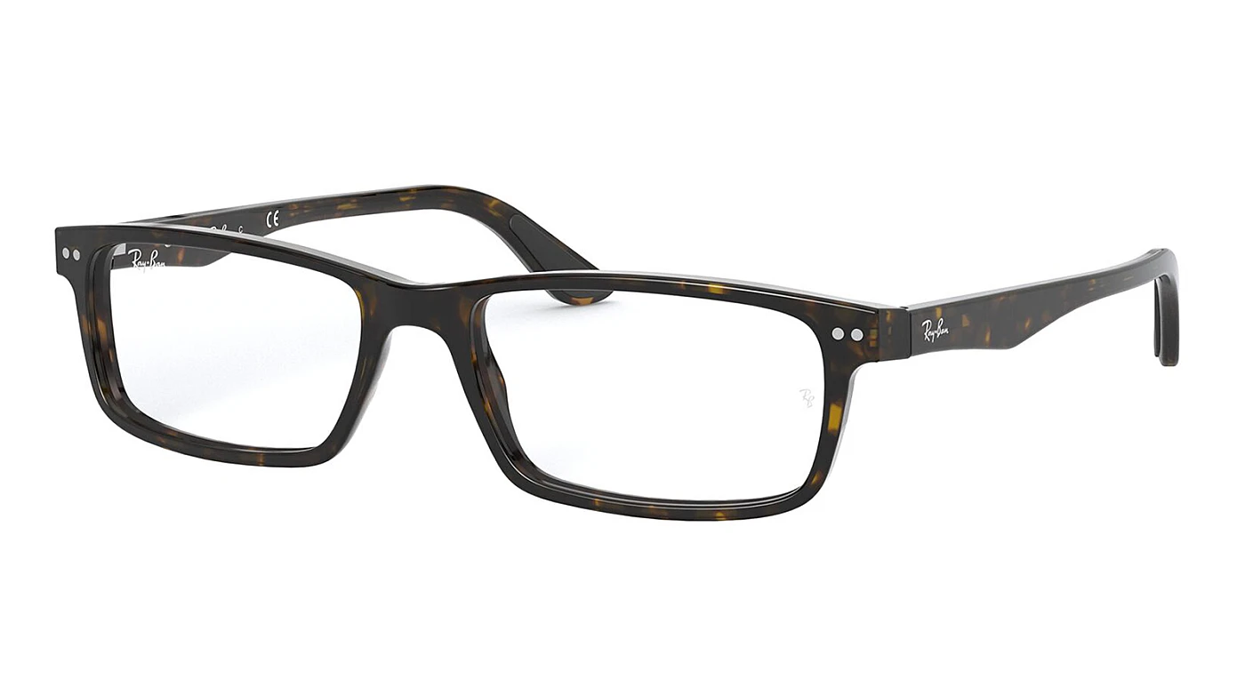 Оправа Ray-Ban Active Lifestyle RX 5277 2012 фото 1