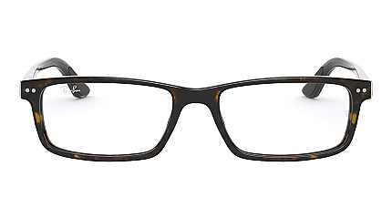 Ray-Ban Active Lifestyle RX 5277 2012